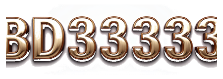 bd333333 logo